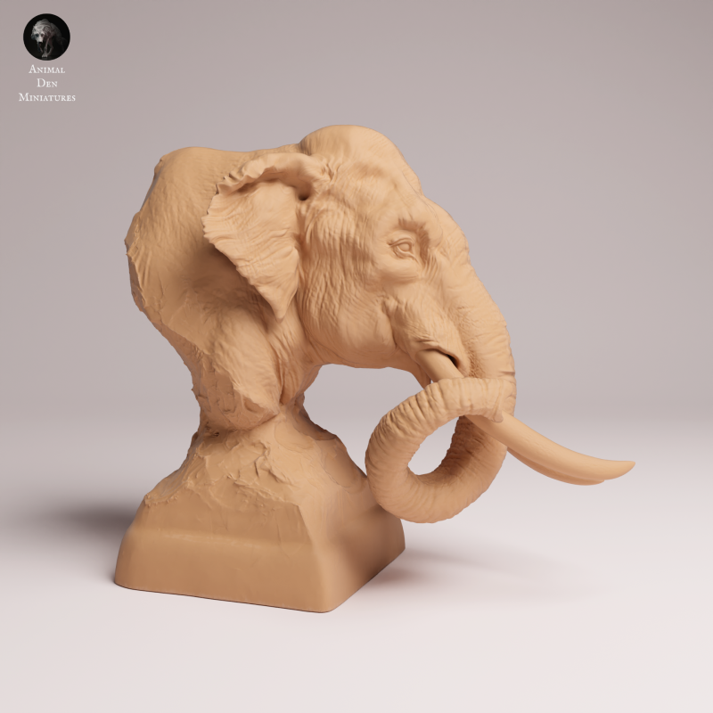 Indian Elephant 1:32 - Bust