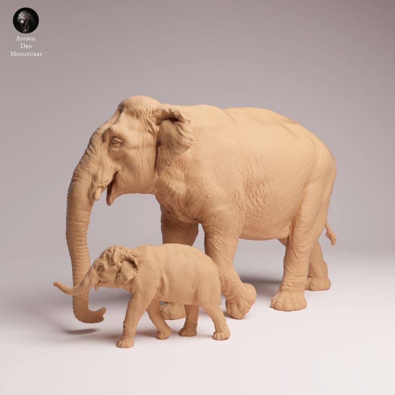 Indian Elephant Cow and Calf 1:32