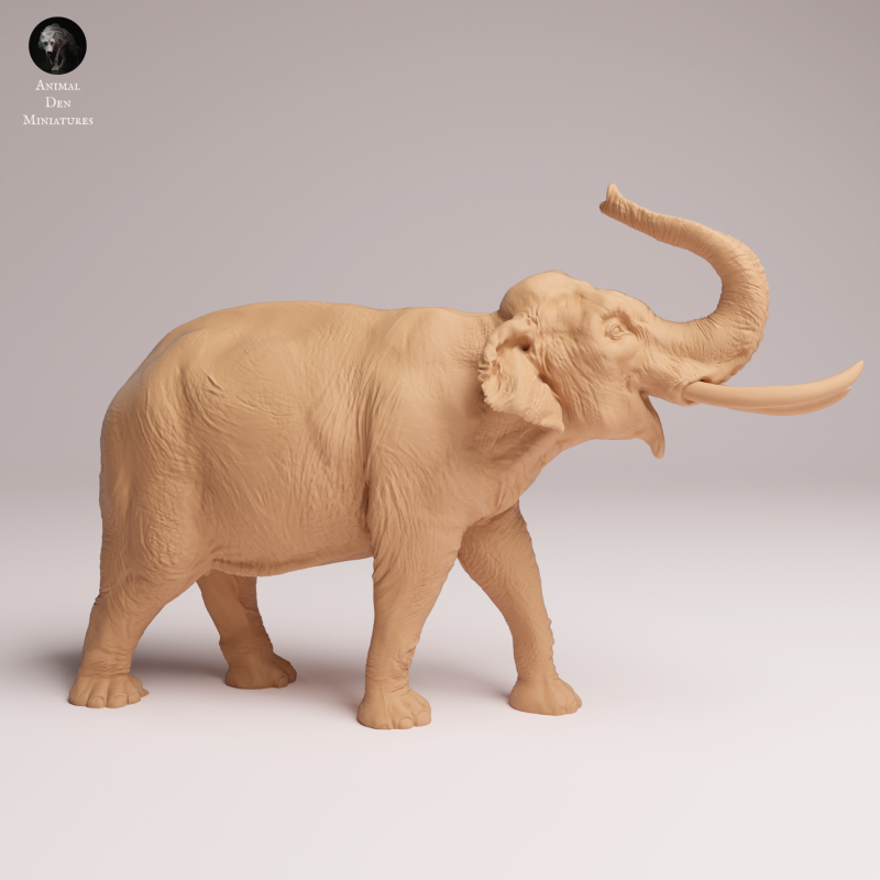 Indian Elephant Bull Showering 1:32