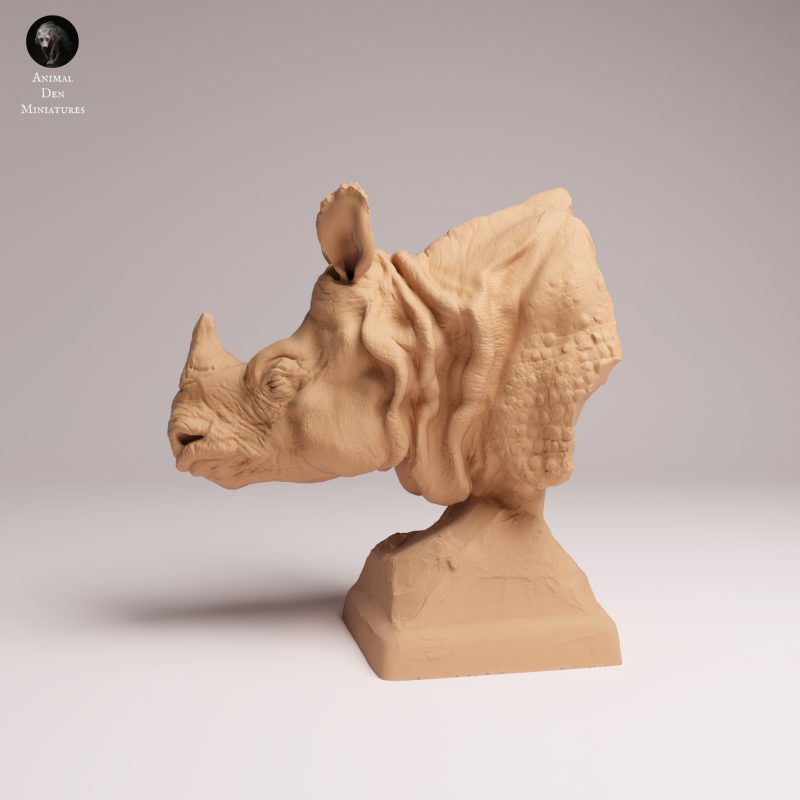 Indian Rhino 1:24 - Bust