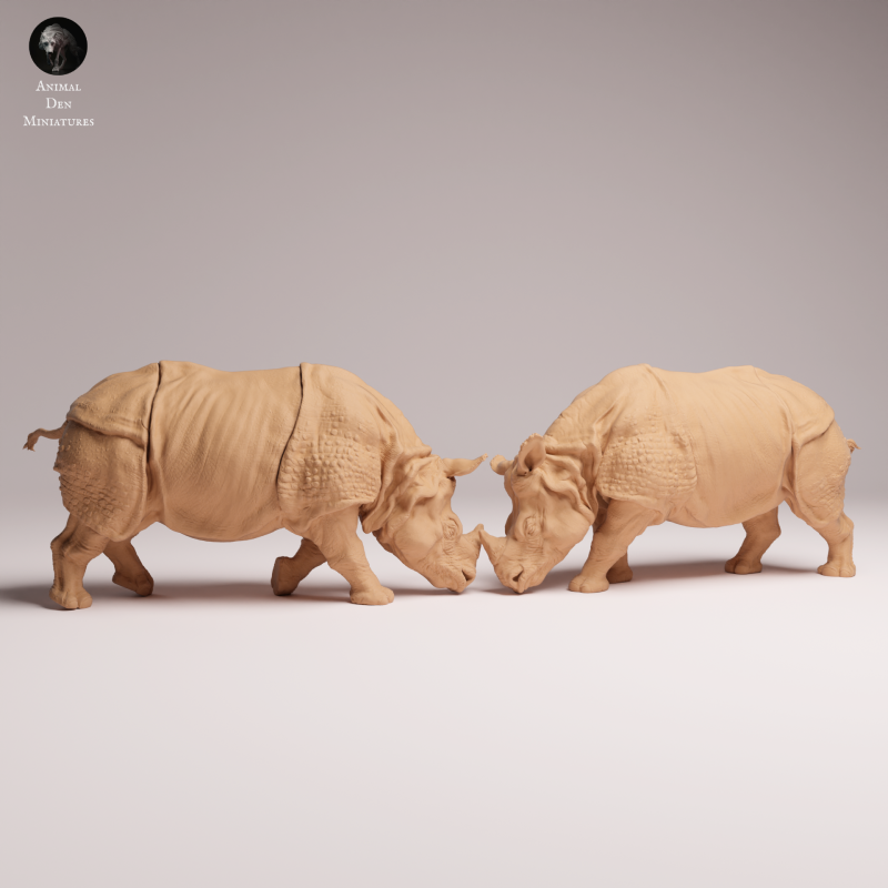 Indian Rhino Fighting 1:32
