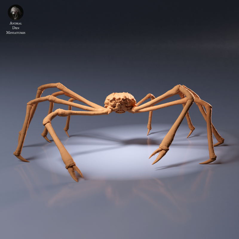 Japanese Giant Spider Crab 1:24