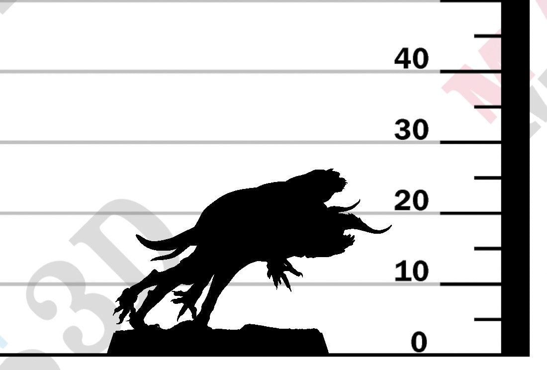 Devilish Flea - Jump