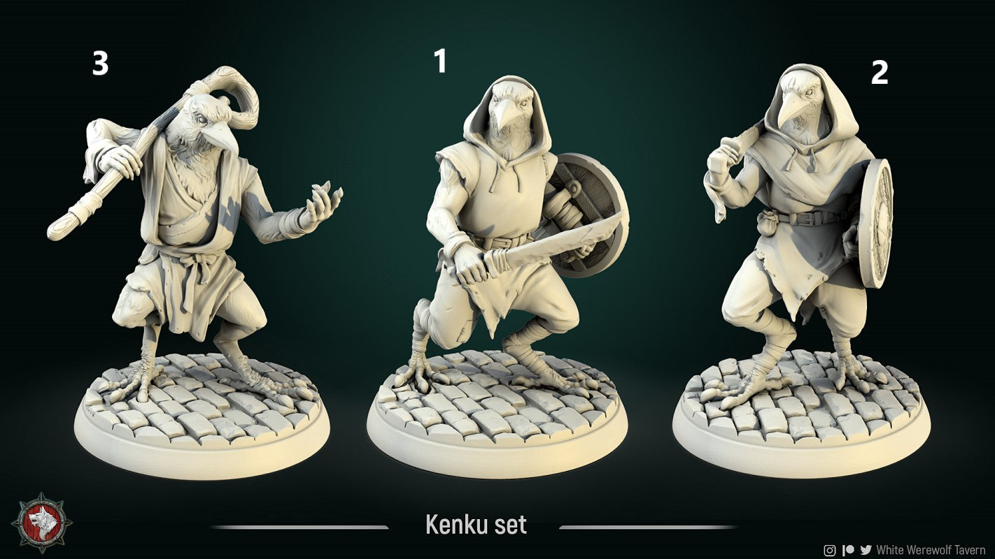 Kenku Warriors