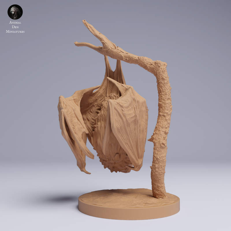 Kitti's Hog-Nosed Bat