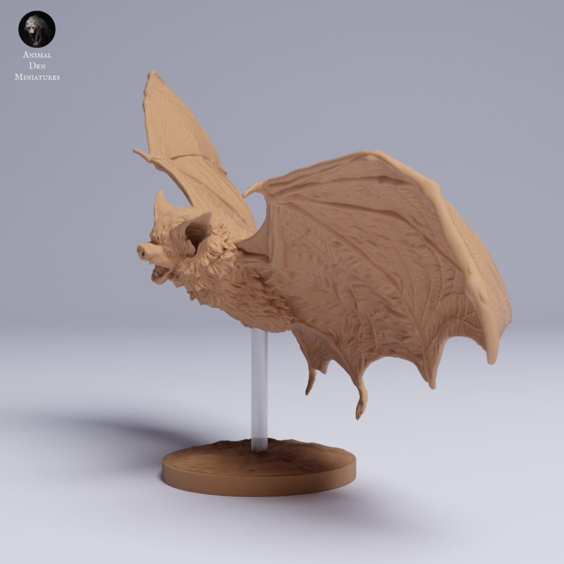 Kitti's Hog-Nosed Bat - Fly