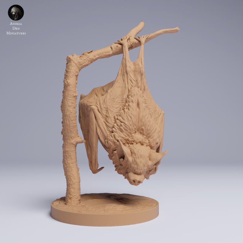 Kitti's Hog-Nosed Bat