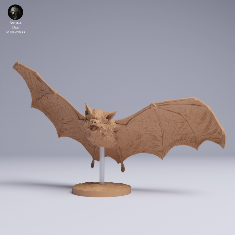 Kitti's Hog-Nosed Bat - Fly