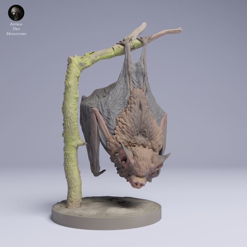 Kitti's Hog-Nosed Bat