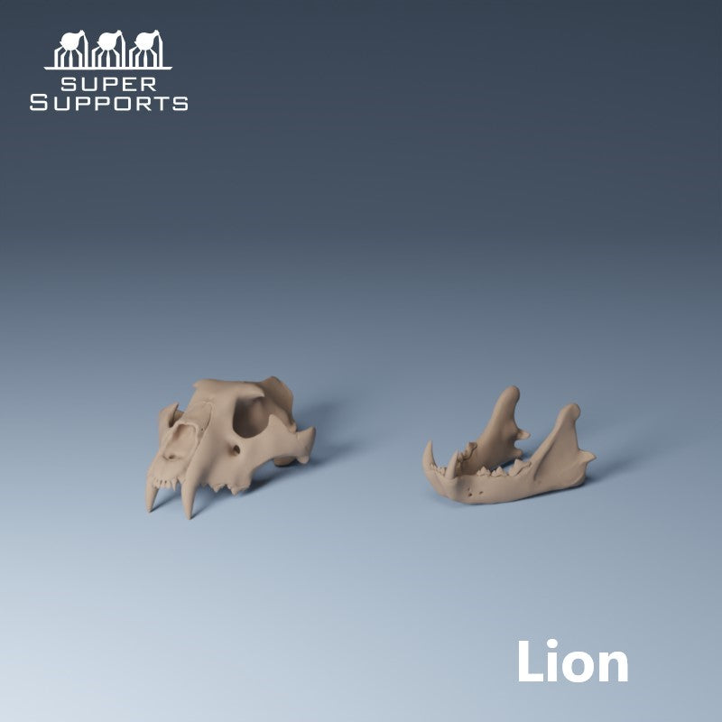 Animal Skulls - Group 2