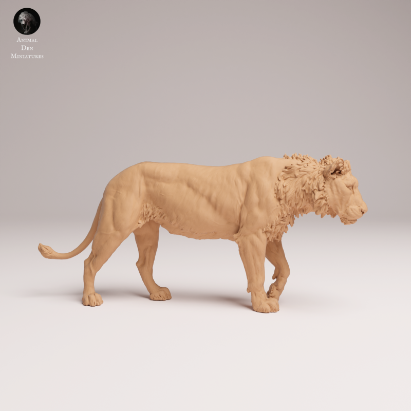 Lion Subadult - V2 - 1:24