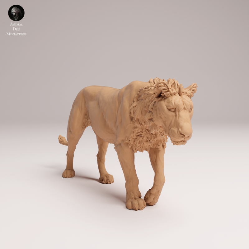 Lion Subadult - V2 - 1:24