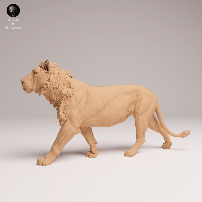 Lion Subadult - V1 - 1:24
