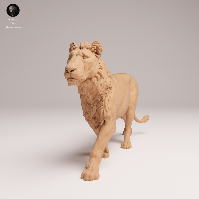 Lion Subadult - V1 - 1:24