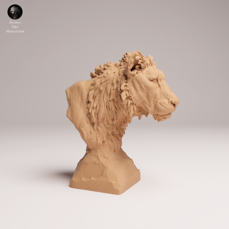 Lion Subadult - Bust - 1:8