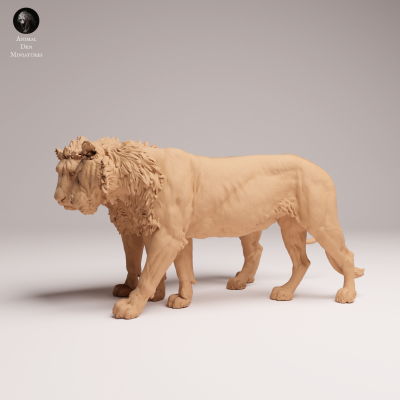 Lion Subadult - Cuddle - 1:24