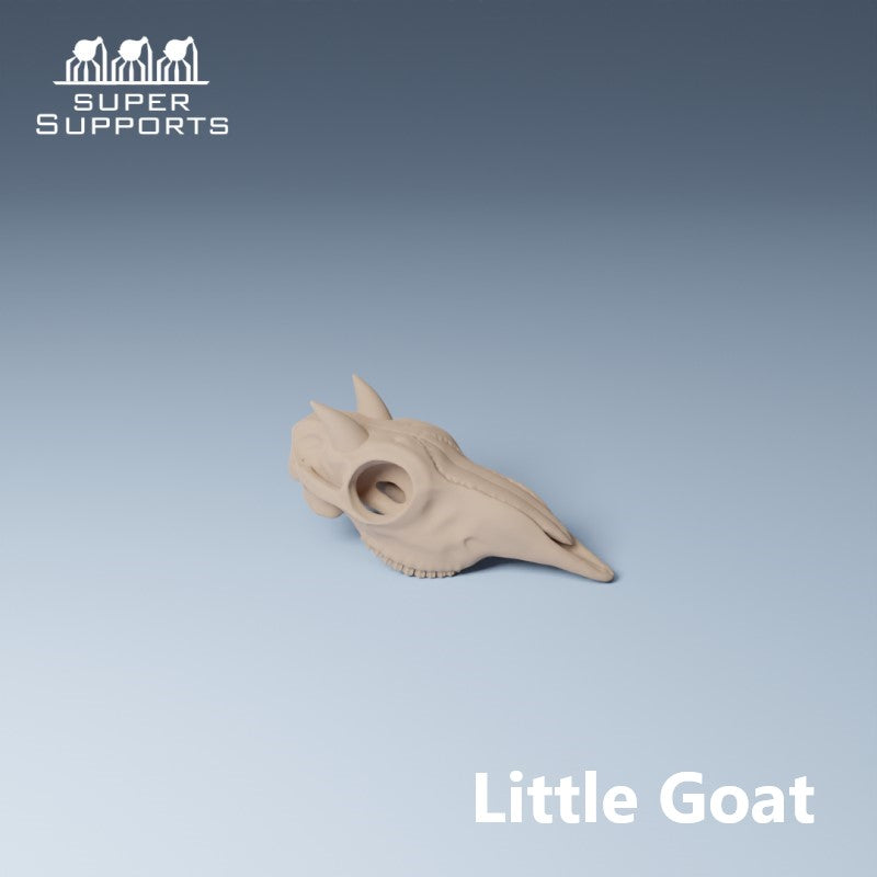 Animal Skulls - Group 4