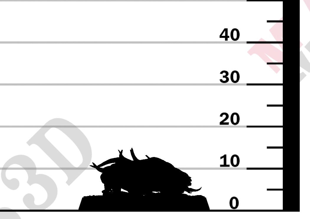 Devilish Flea - Look