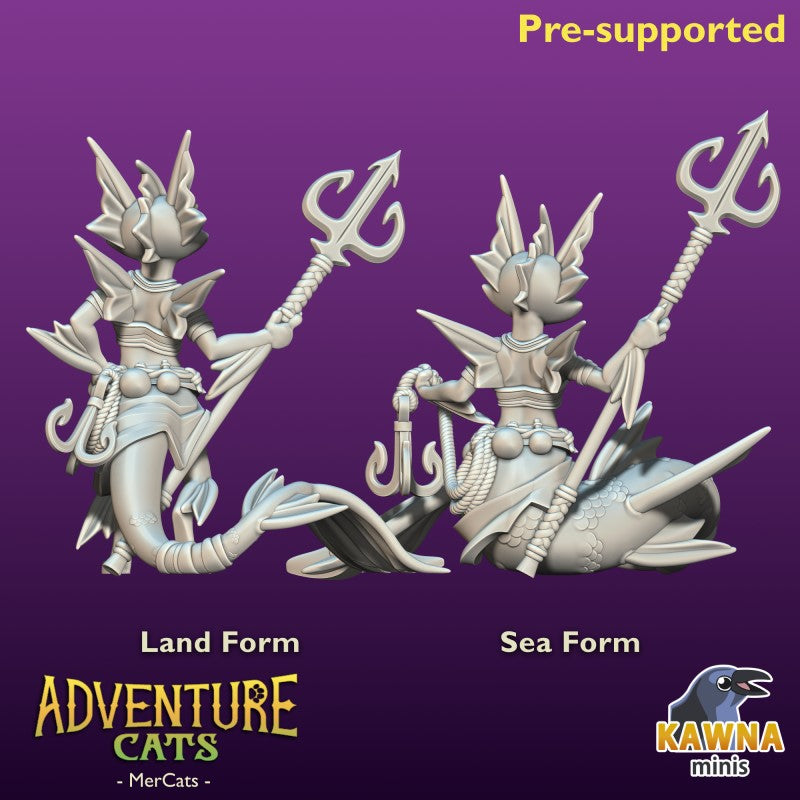 MerCat Fighter: Type 2