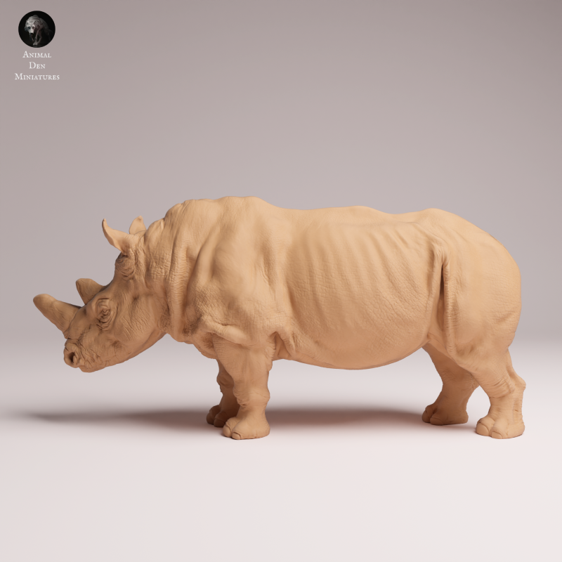 Northern White Rhino