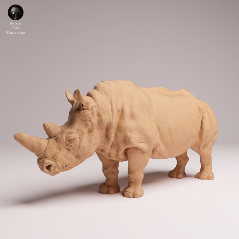 Northern White Rhino