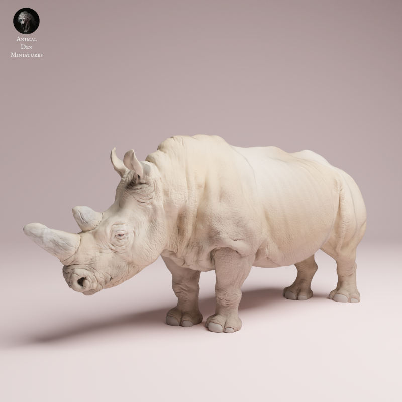 Northern White Rhino