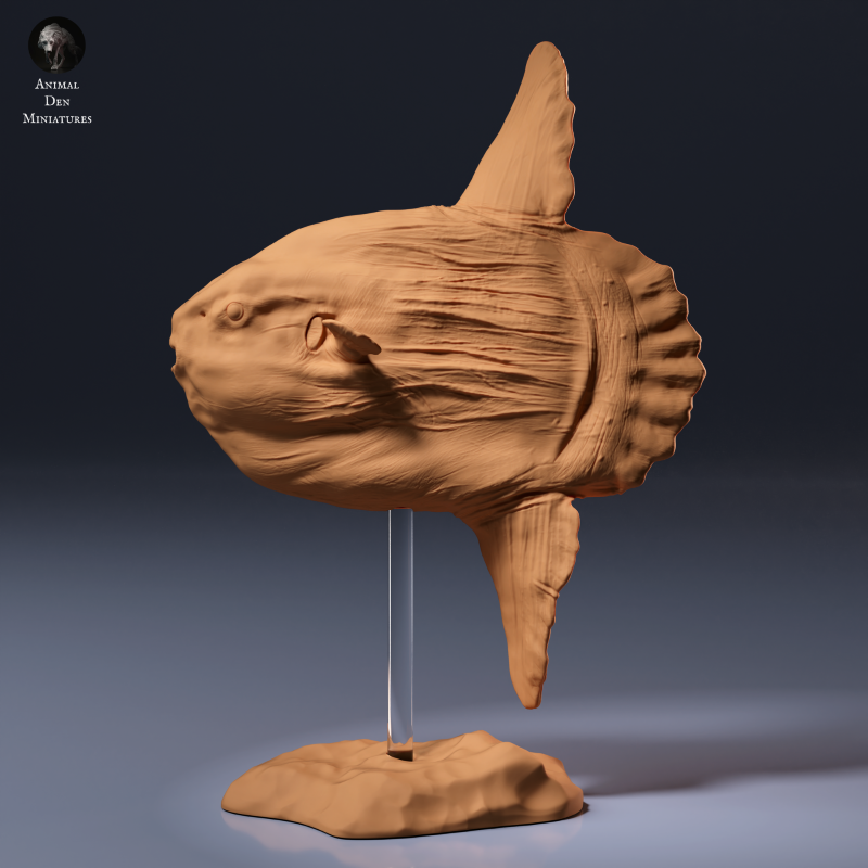 Ocean Sunfish 1:32