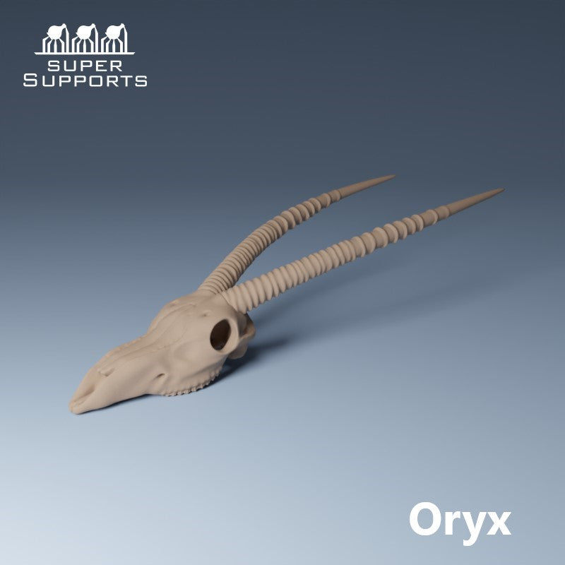 Animal Skulls - Group 2