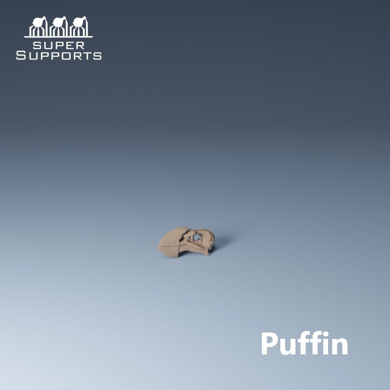 Animal Skulls - Group 2