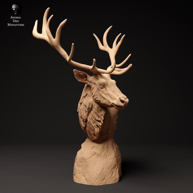 Red Deer - Bust