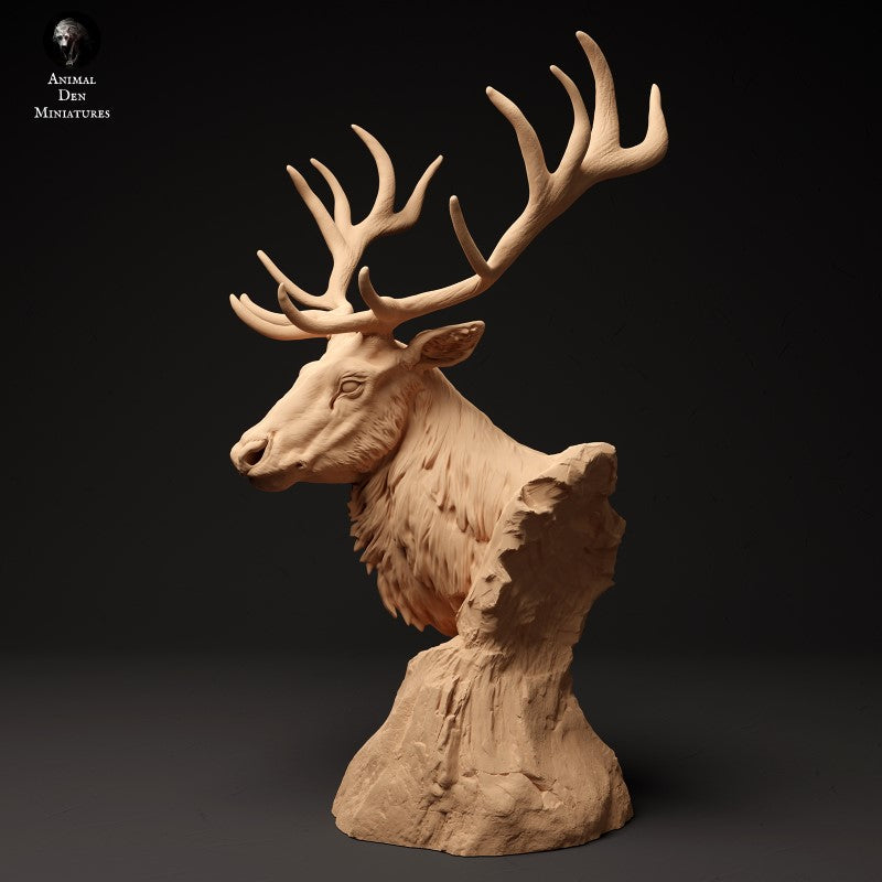 Red Deer - Bust
