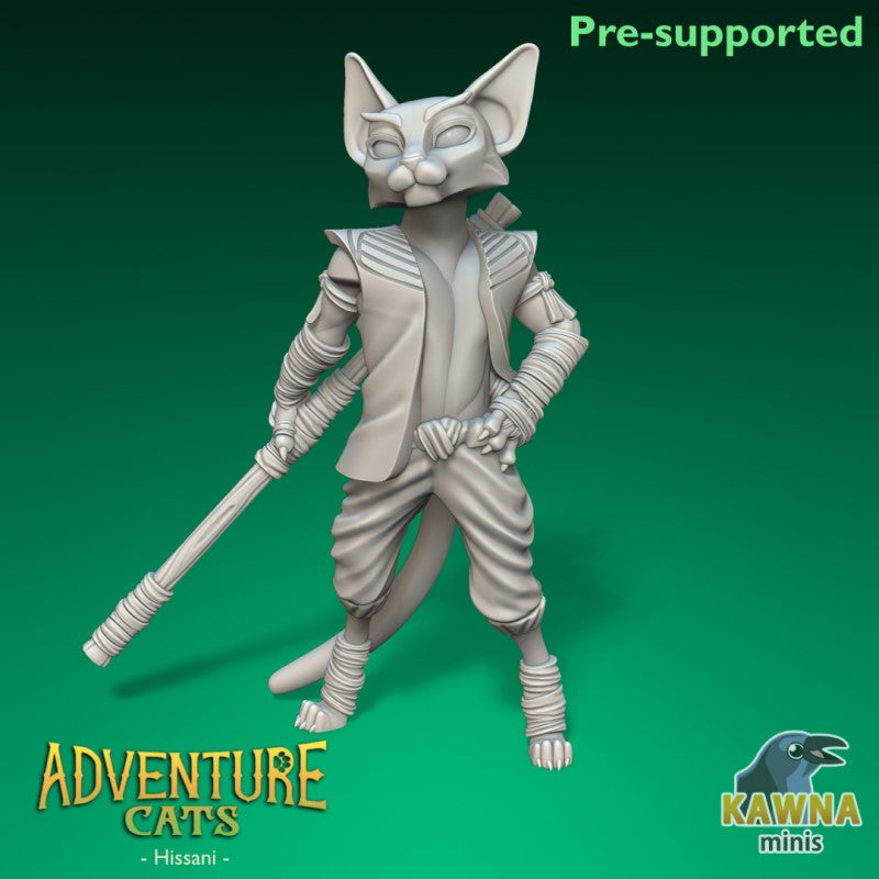 miniature Monk Cat by The Kawna