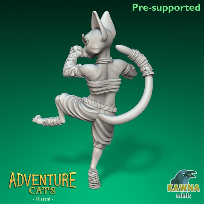 miniature Monk Cat by The Kawna