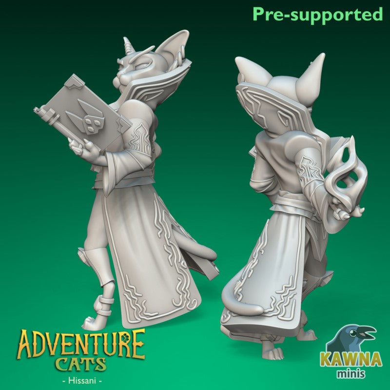 miniature Hissani Wizard by The Kawna