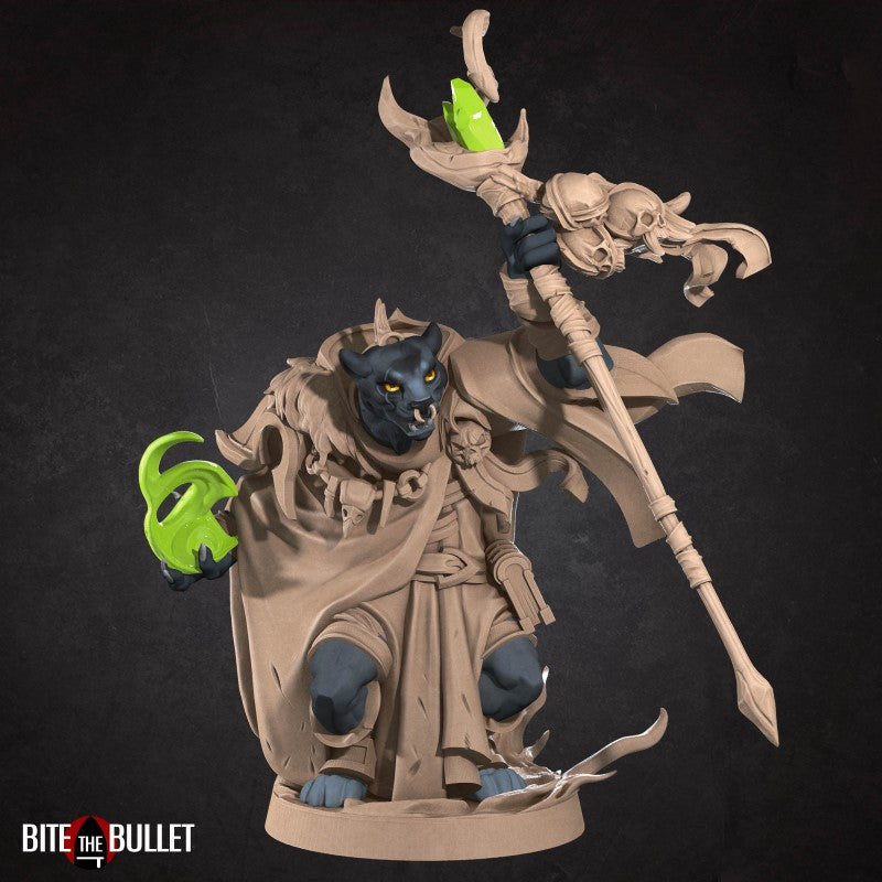 Miniature Tabaxi Warlock by Bite the Bullet
