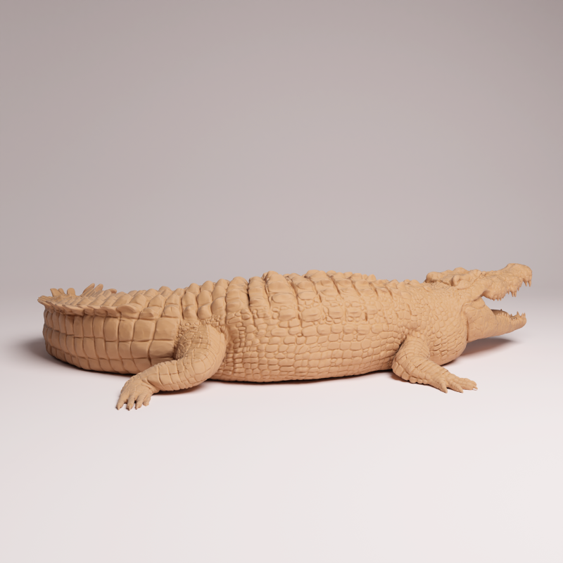 Saltwater Crocodile 1:32