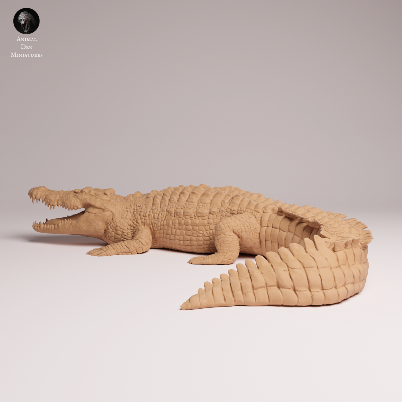 Saltwater Crocodile 1:32