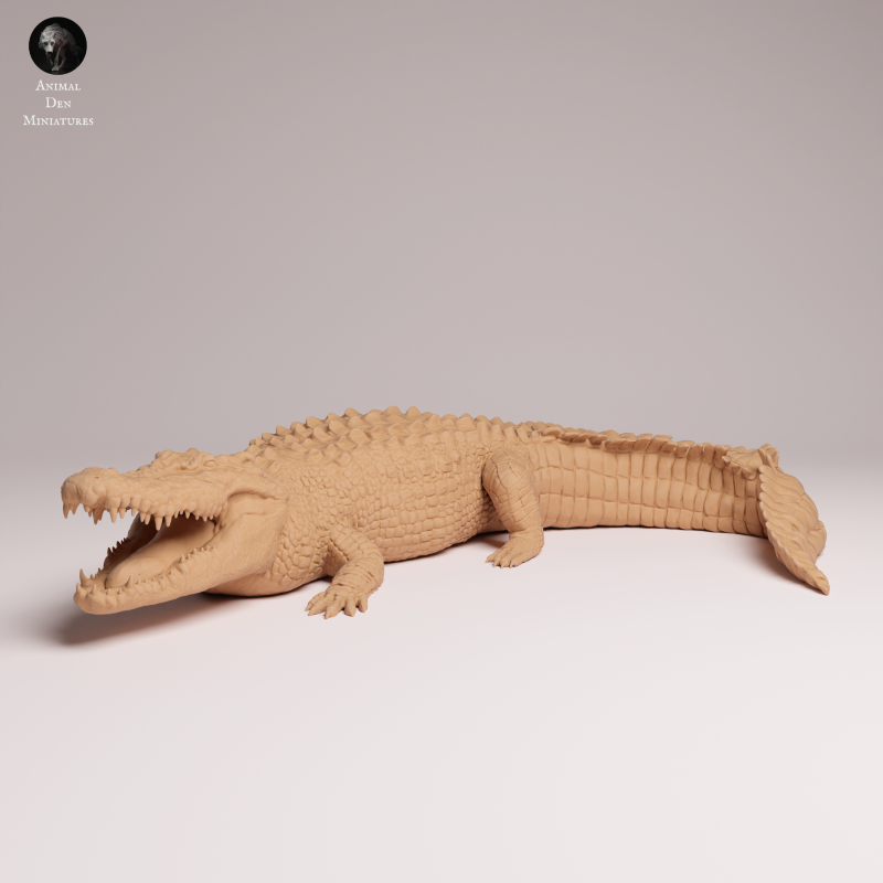 Saltwater Crocodile 1:32