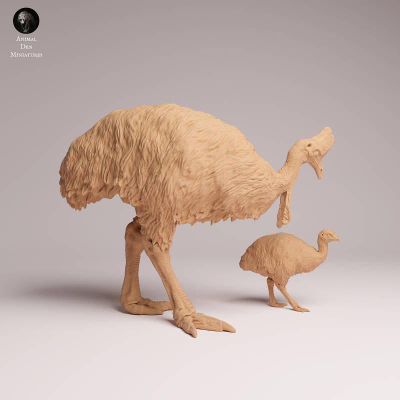 Southern Cassowary and Chick 1:24