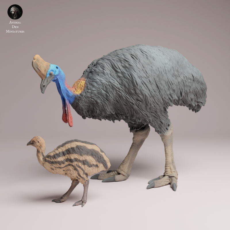 Southern Cassowary and Chick 1:24