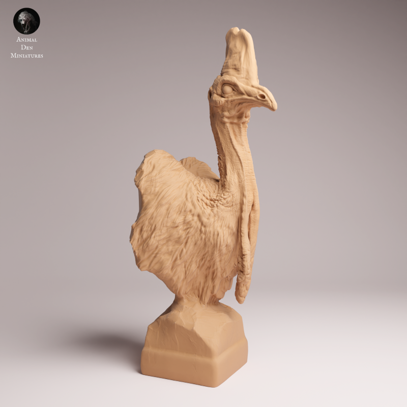 Southern Cassowary Bust 1:8