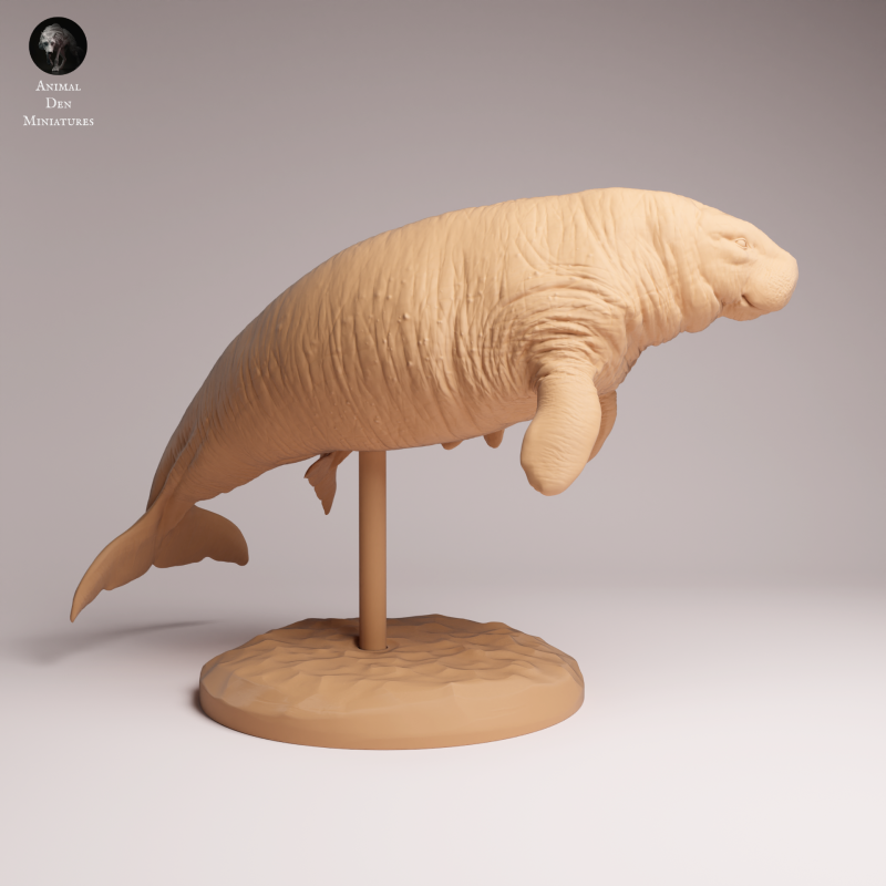 Stellar Sea Cow and Calf 1:100