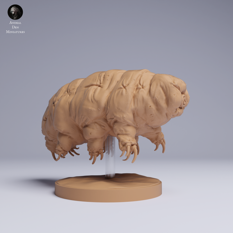 Tardigrade - Water Bear