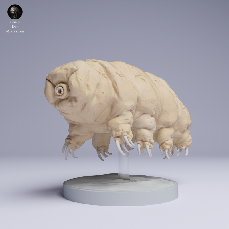Tardigrade - Water Bear