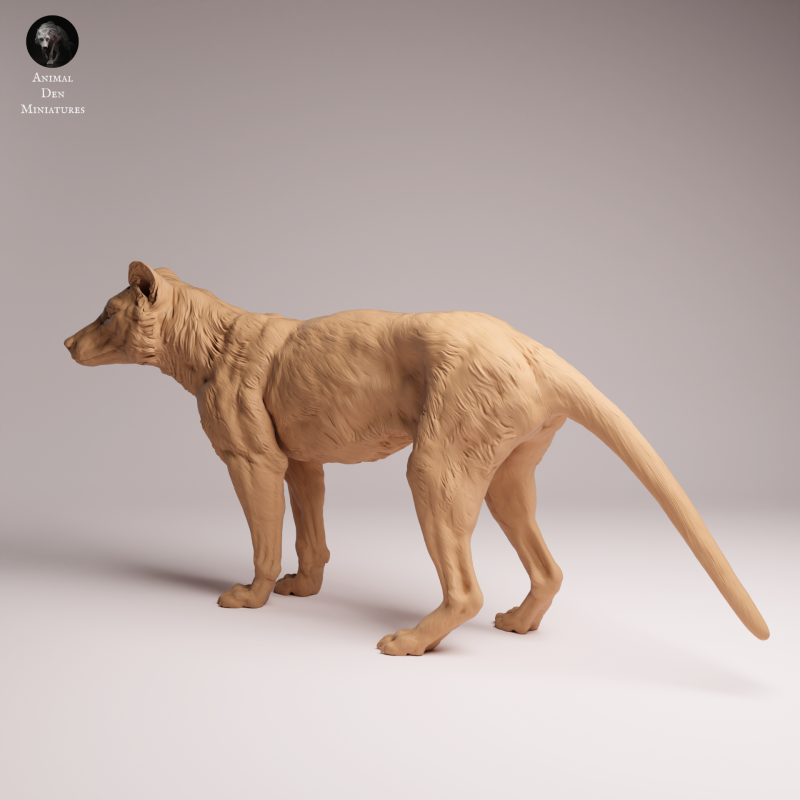 Thylacine 1:24