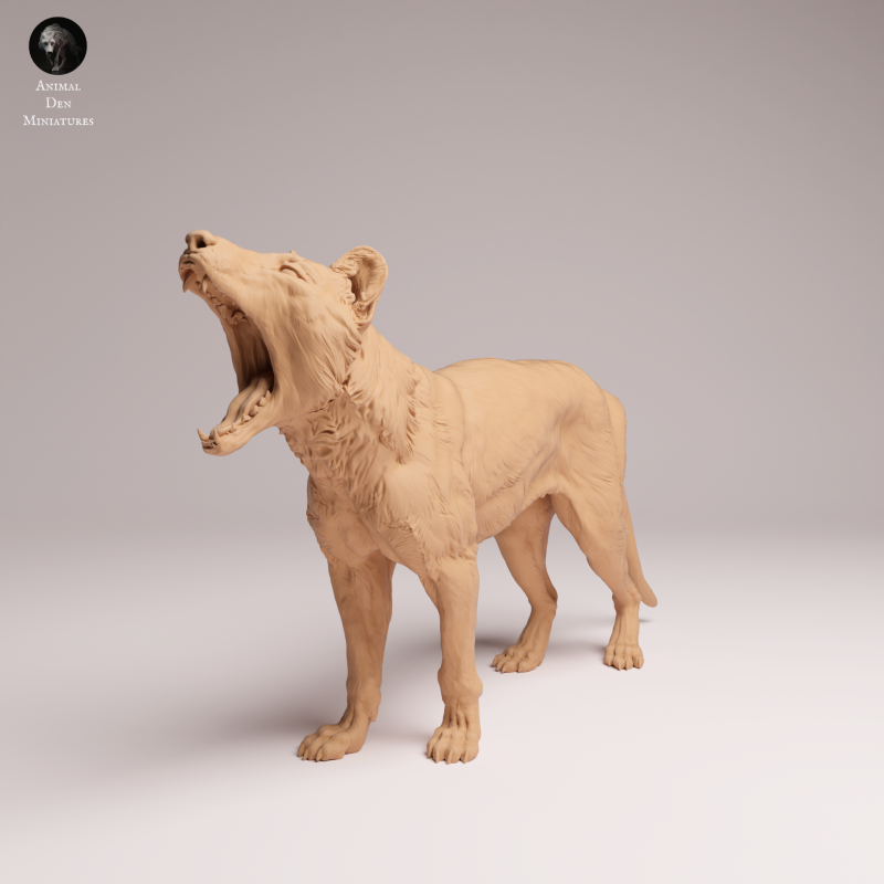 Thylacine - Yawn 1:24