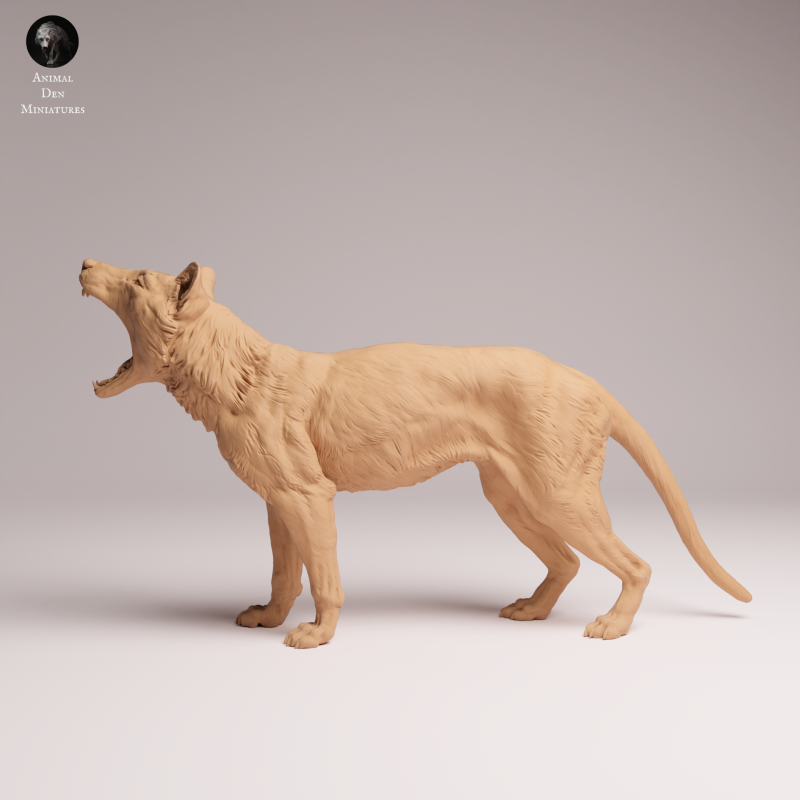 Thylacine - Yawn 1:24