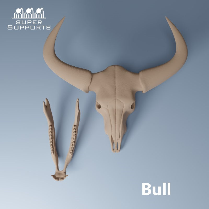 Animal Skulls - Group 5