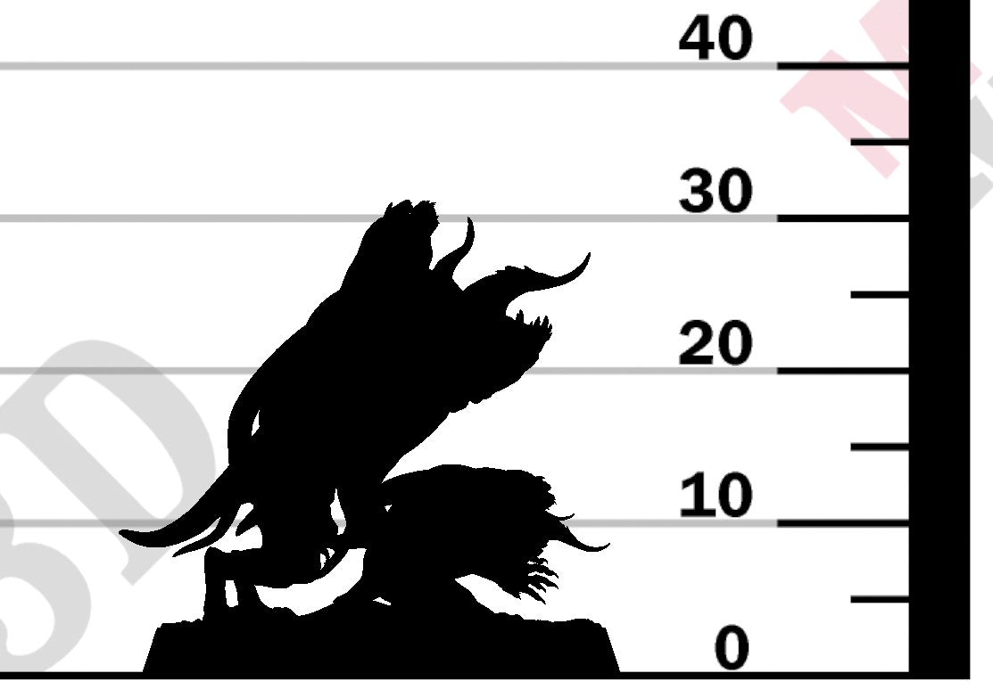 Devilish Flea - Warcry