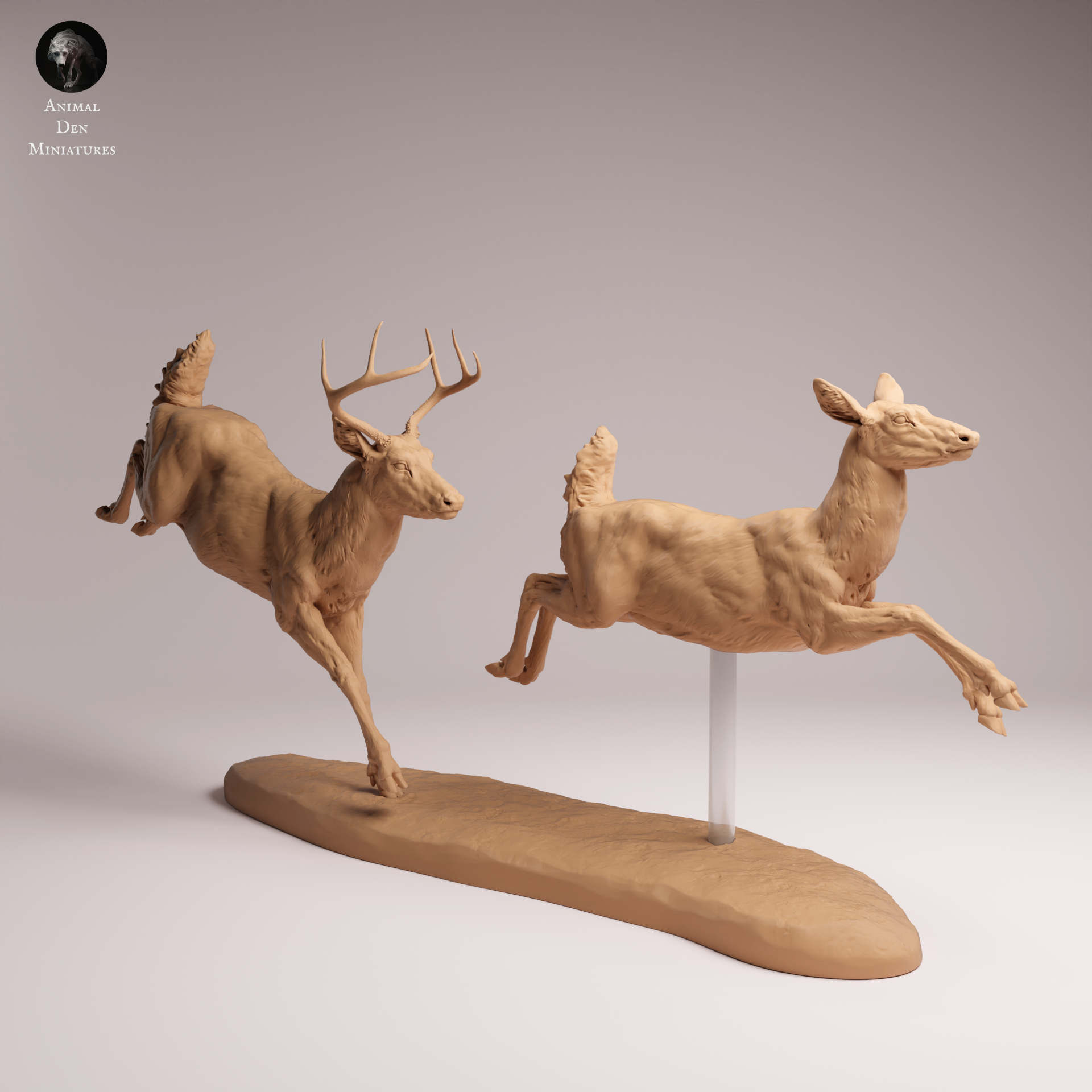 White Tailed Deer Run 1:24